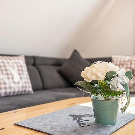 Schwarzwaldnest Apartment บาดวิลด์บาด ภายนอก รูปภาพ